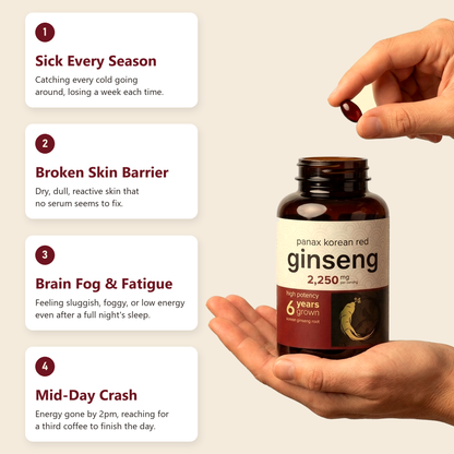 Korean Red Ginseng Root Extract