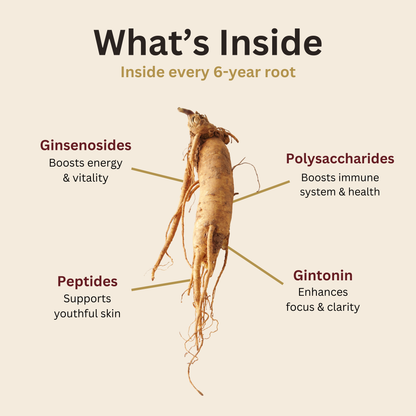 Korean Red Ginseng Root Extract